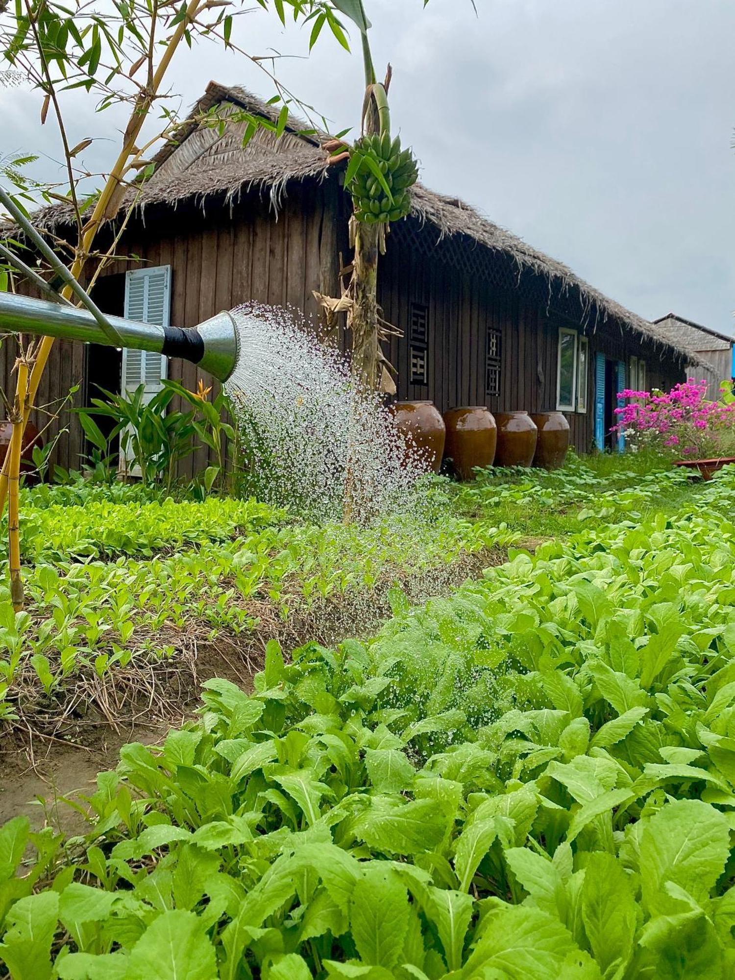 Mekong Silt Ecolodge Can Tho Luaran gambar